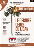 Le dernier cèdre du Liban