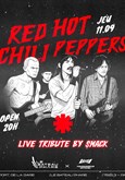 Red Hot Chili Peppers live tribute night