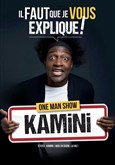 Kamini dans lI faut que je vous explique ! 