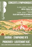 Concerts Symphoniques Orchestre le Violon d'Ingres