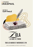 Zola, la rage � l'encre