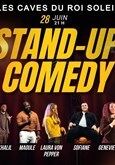 Les caves du roi Comedy Club