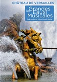 Les Grandes Eaux Musicales Jardin du château de Versailles - Entrée Cour d'Honneur