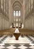 Visite guidée : Notre-Dame de Paris restaurée