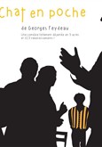 Chat en poche