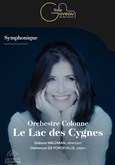 Le Lac des Cygnes