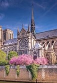Visite guidée : Notre-Dame de Paris