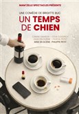Un temps de chien Casino Les Palmiers