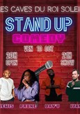 Les caves du roi Comedy Club