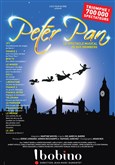 Peter Pan, le spectacle musical