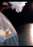 Conférence Plastiques - comprendre pour agir par Nelly Pons