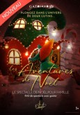 Les Aventures de Noël à la Chouette