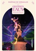 Les Grandes Eaux Nocturnes Electro 2025