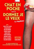 Chat en poche / Dormez je le veux