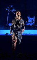 Le poids des fourmis