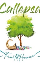 Callepsa Duo accoustique