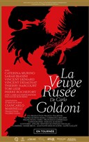 La veuve ruse