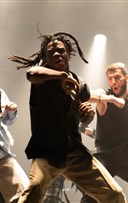 Perception & Rave Lucid