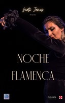 Noche Flamenca Nati James