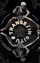 Transe/In Situ