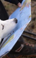 Rallye-photos en autonomie : un animal fugitif � Reuilly