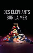 Des �l�phants sur la mer