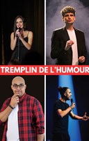 Tremplin de l'humour