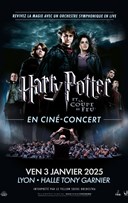 Harry Potter et la coupe de Feu en cin-concert | Lyon