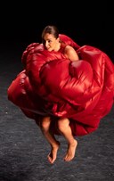 Paula Comitre et Jos� del Tomate : Apr�s vous madame + Concert