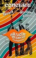 The Shakin' Mamas Orchestra