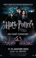 Harry Potter et la coupe de Feu en cin-concert | Lille