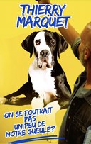 Thierry Marquet dans On se foutrait pas un peu de notre gueule ?