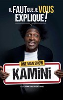 Kamini dans lI faut que je vous explique !
