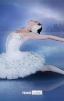 Le Lac des Cygnes