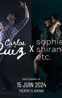 Carlos Ruiz x Sophie Shiran etc