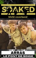 Soaked : Tribute Muse