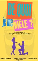 De quoi je me m�le ?