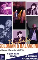 Tribute Goldman & Balavoine