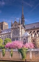 Visite guid�e : Notre-Dame de Paris | par Calliop�e - art-culture