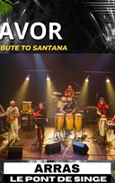 Savor : tribute to Santana