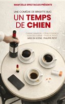 Un temps de chien