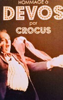 Devos par Crocus