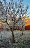 Les Trois soeurs d'Anton Tchekhov