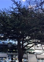 Visite guid�e: Que le temps passe � Montparnasse | par Elisabeth et Catherine