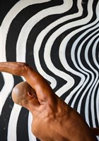 Thomas Lebrun et CCN de Tours : Derri�re Vaval, Pleurs, cornes et fwet