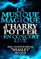 The magical music of Harry Potter - Live in concert | Lourdes