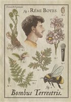 R�mi Boyes dans Bombus Terrestris V2