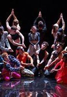 Static Shot / A folia