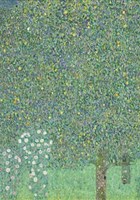 Le go�t du printemps