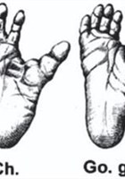 Jonglages et Sciences : Le champs des possibles